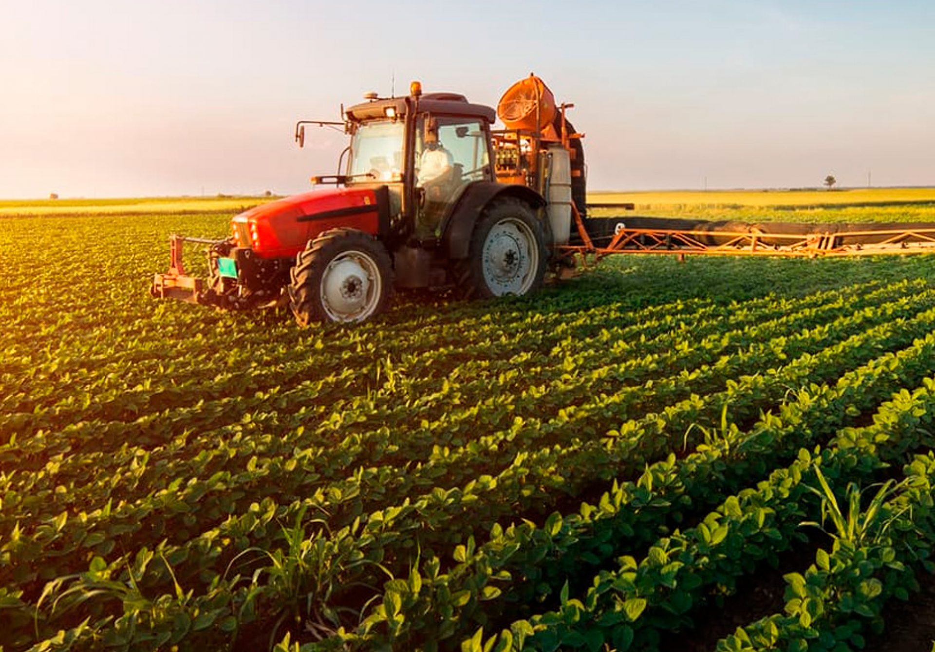 Engenheiros Agrônomos ressaltam importância da apresentação de projetos técnicos para acessar financiamentos agropecuários